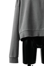 画像をギャラリービューアに読み込む, entire studios BOX CREW SWEAT PULLOVER (RHINO)