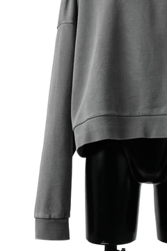 画像をギャラリービューアに読み込む, entire studios BOX CREW SWEAT PULLOVER (RHINO)