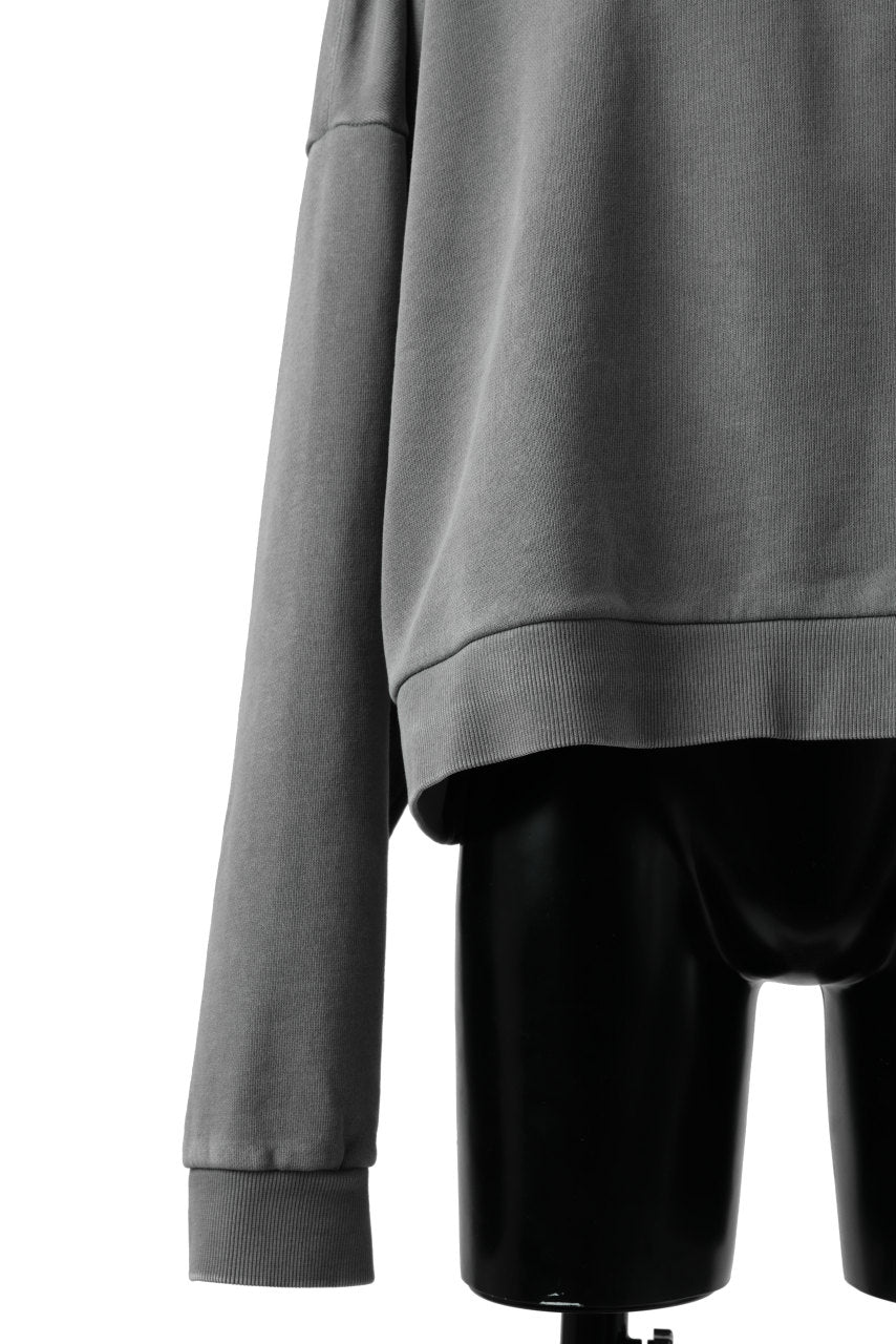 画像をギャラリービューアに読み込む, entire studios BOX CREW SWEAT PULLOVER (RHINO)