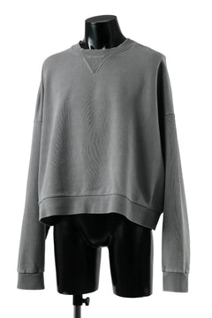 画像をギャラリービューアに読み込む, entire studios BOX CREW SWEAT PULLOVER (RHINO)