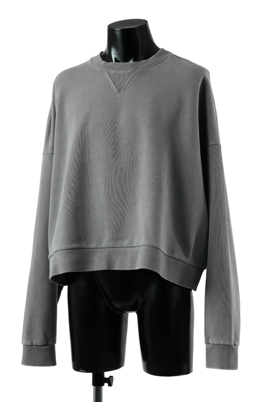 画像をギャラリービューアに読み込む, entire studios BOX CREW SWEAT PULLOVER (RHINO)