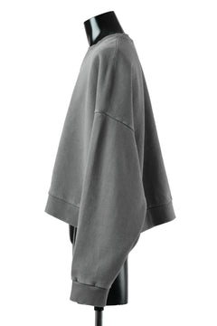 画像をギャラリービューアに読み込む, entire studios BOX CREW SWEAT PULLOVER (RHINO)