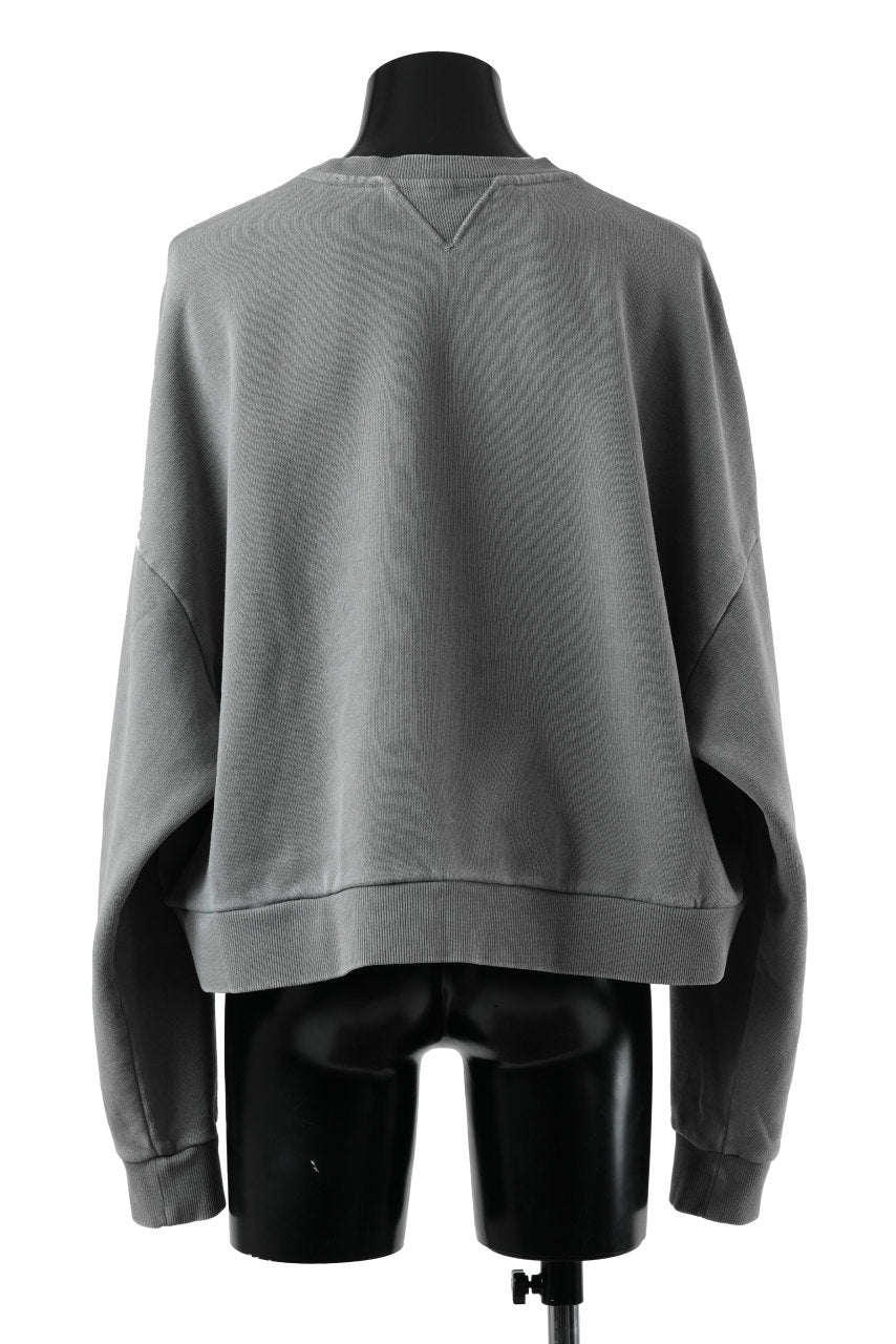 画像をギャラリービューアに読み込む, entire studios BOX CREW SWEAT PULLOVER (RHINO)