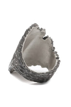 画像をギャラリービューアに読み込む, Node by KUDO SHUJI R-96 RING