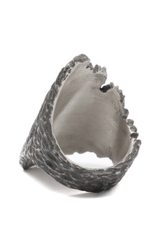 画像をギャラリービューアに読み込む, Node by KUDO SHUJI R-96 RING