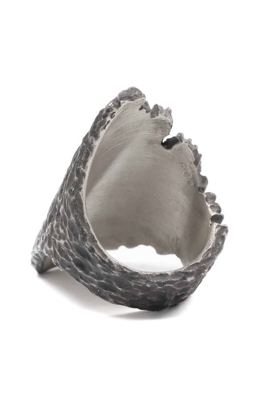 画像をギャラリービューアに読み込む, Node by KUDO SHUJI R-96 RING