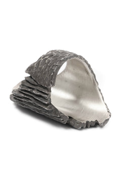 画像をギャラリービューアに読み込む, Node by KUDO SHUJI R-96 RING