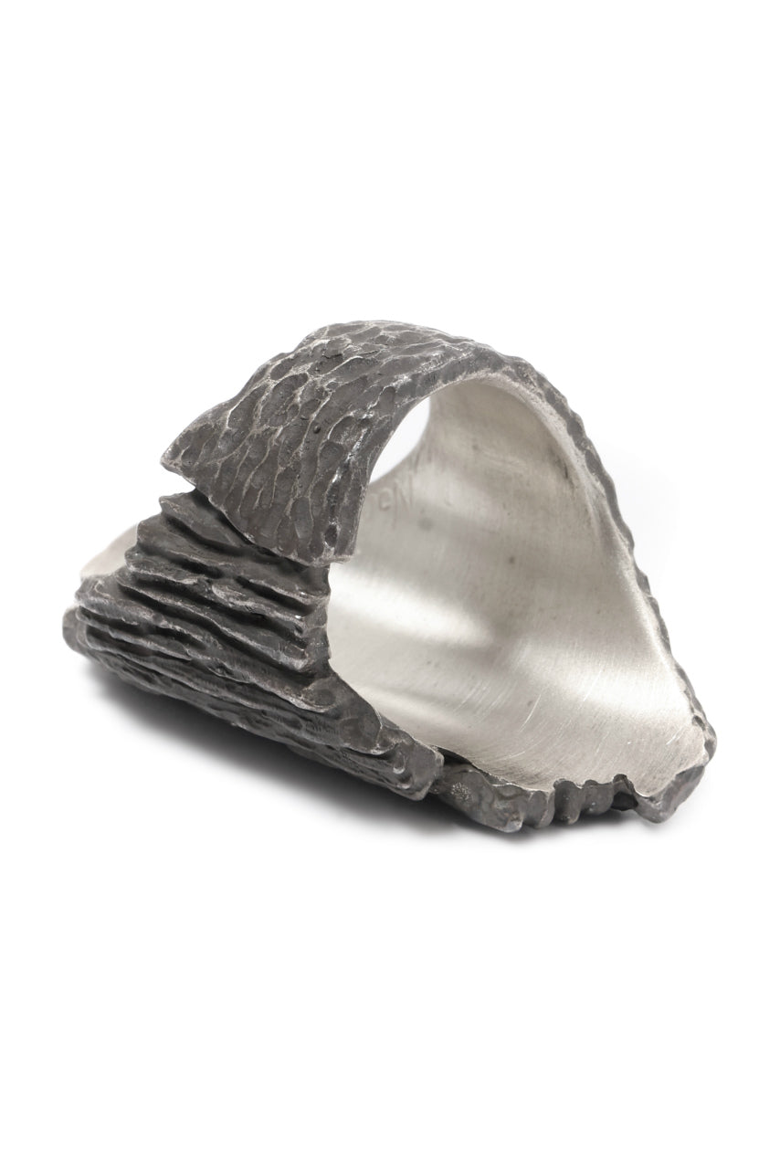 画像をギャラリービューアに読み込む, Node by KUDO SHUJI R-96 RING