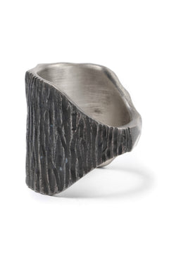 画像をギャラリービューアに読み込む, Node by KUDO SHUJI R-95 RING