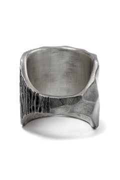 画像をギャラリービューアに読み込む, Node by KUDO SHUJI R-95 RING