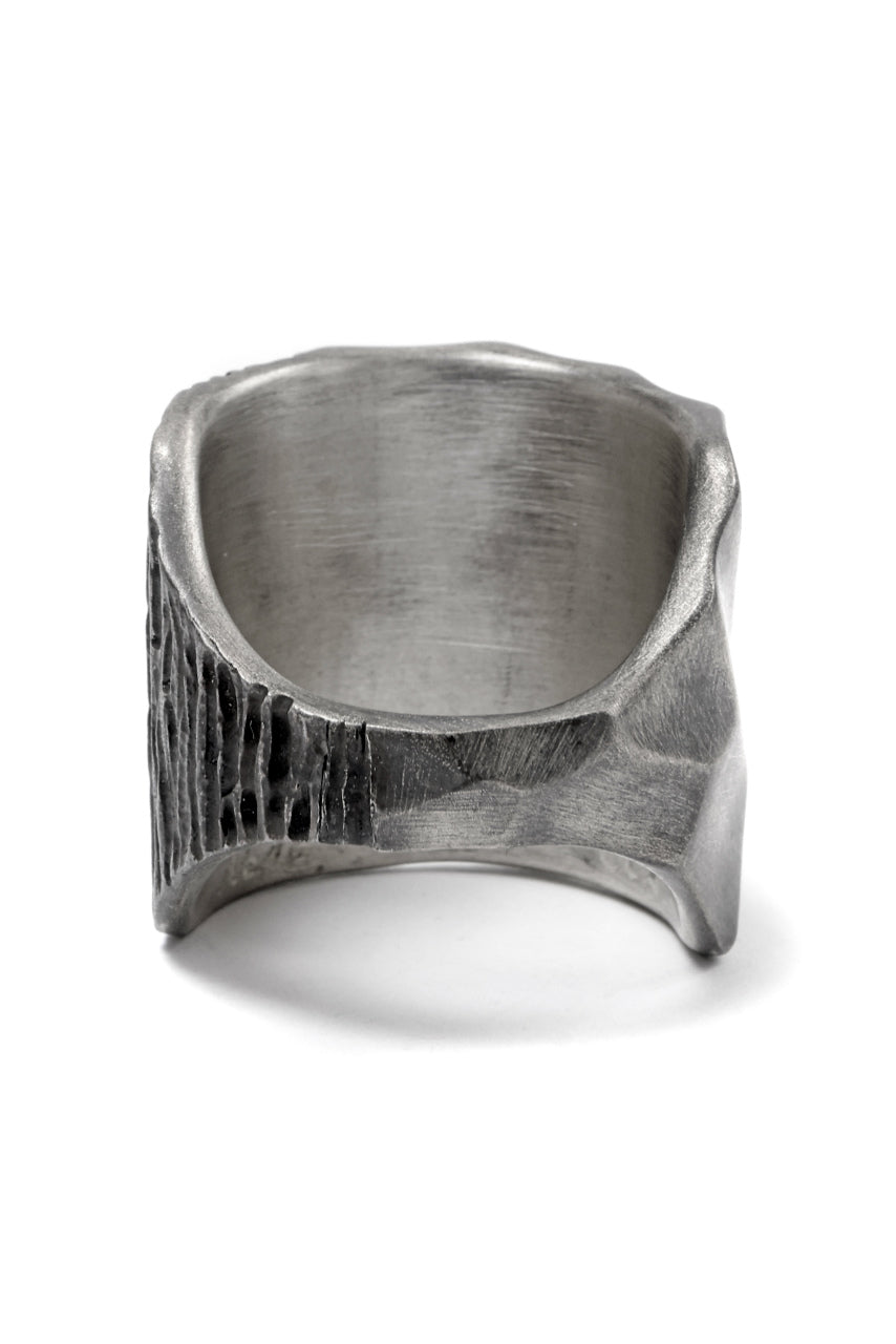 画像をギャラリービューアに読み込む, Node by KUDO SHUJI R-95 RING