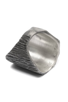 画像をギャラリービューアに読み込む, Node by KUDO SHUJI R-95 RING