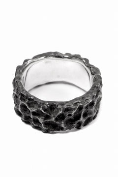 画像をギャラリービューアに読み込む, Node by KUDO SHUJI R-86 RING