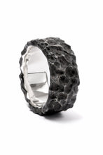 画像をギャラリービューアに読み込む, Node by KUDO SHUJI R-86 RING