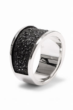 画像をギャラリービューアに読み込む, Node by KUDO SHUJI R-81 RING