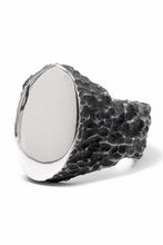 画像をギャラリービューアに読み込む, Node by KUDO SHUJI R-79 RING