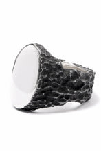 画像をギャラリービューアに読み込む, Node by KUDO SHUJI R-79 RING