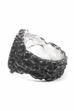 画像をギャラリービューアに読み込む, Node by KUDO SHUJI R-79 RING