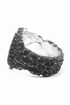 画像をギャラリービューアに読み込む, Node by KUDO SHUJI R-79 RING