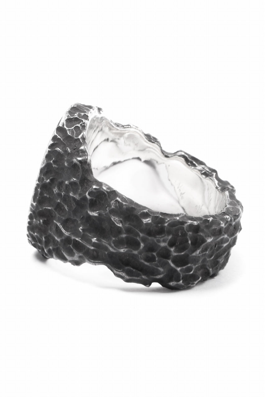 画像をギャラリービューアに読み込む, Node by KUDO SHUJI R-79 RING