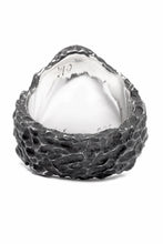 画像をギャラリービューアに読み込む, Node by KUDO SHUJI R-79 RING