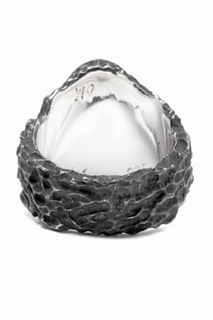 画像をギャラリービューアに読み込む, Node by KUDO SHUJI R-79 RING