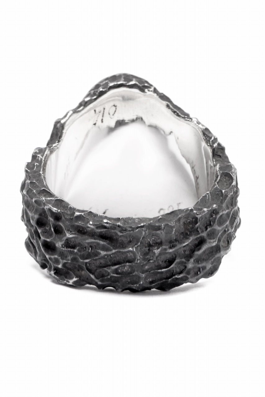 画像をギャラリービューアに読み込む, Node by KUDO SHUJI R-79 RING