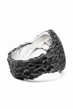 画像をギャラリービューアに読み込む, Node by KUDO SHUJI R-79 RING