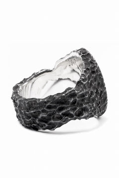 画像をギャラリービューアに読み込む, Node by KUDO SHUJI R-79 RING