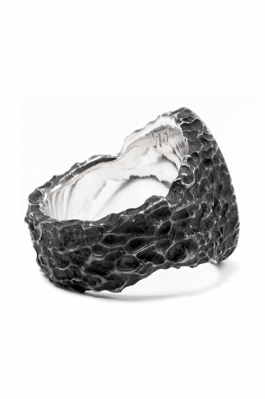 画像をギャラリービューアに読み込む, Node by KUDO SHUJI R-79 RING