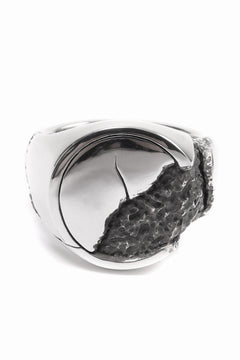 画像をギャラリービューアに読み込む, Node by KUDO SHUJI R-76 RING