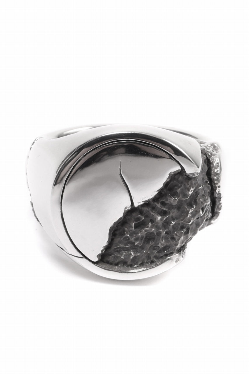 画像をギャラリービューアに読み込む, Node by KUDO SHUJI R-76 RING