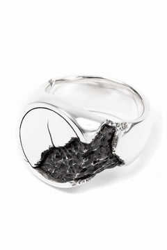 画像をギャラリービューアに読み込む, Node by KUDO SHUJI R-76 RING