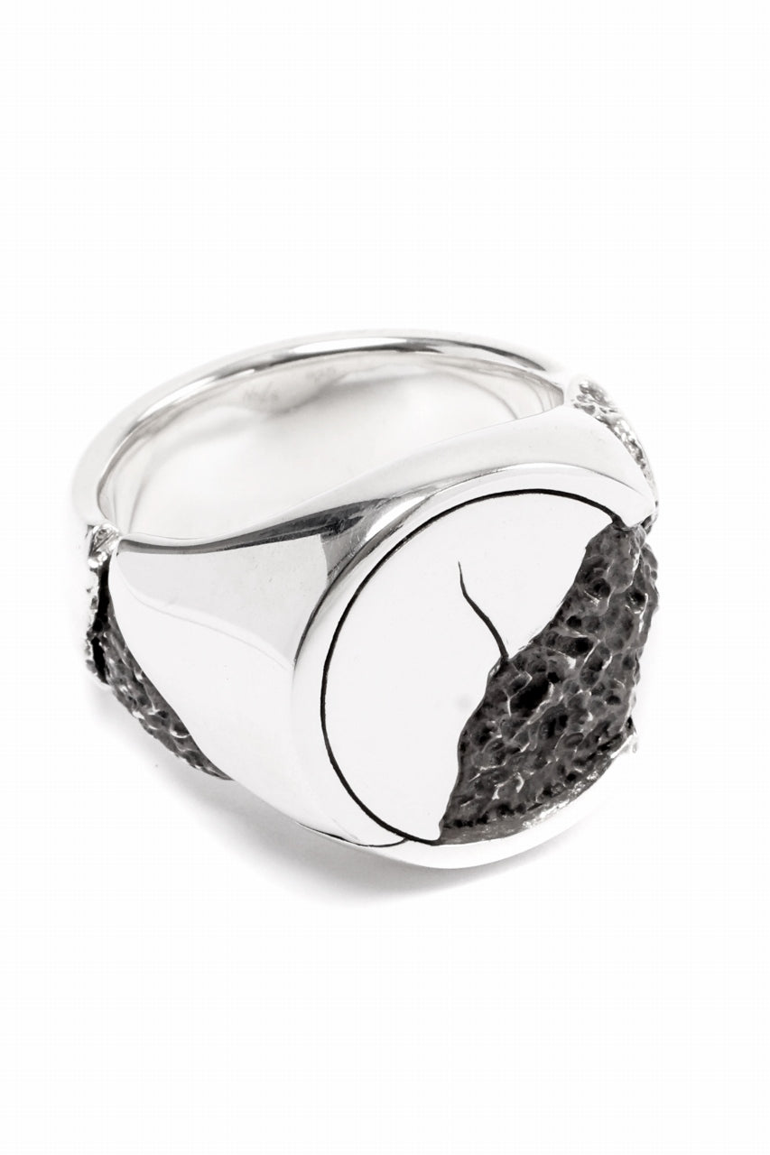 画像をギャラリービューアに読み込む, Node by KUDO SHUJI R-76 RING