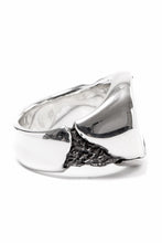 画像をギャラリービューアに読み込む, Node by KUDO SHUJI R-76 RING