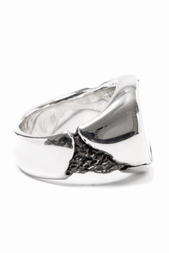 画像をギャラリービューアに読み込む, Node by KUDO SHUJI R-76 RING