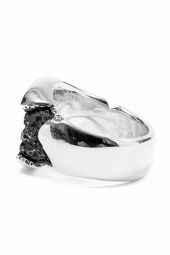 画像をギャラリービューアに読み込む, Node by KUDO SHUJI R-76 RING