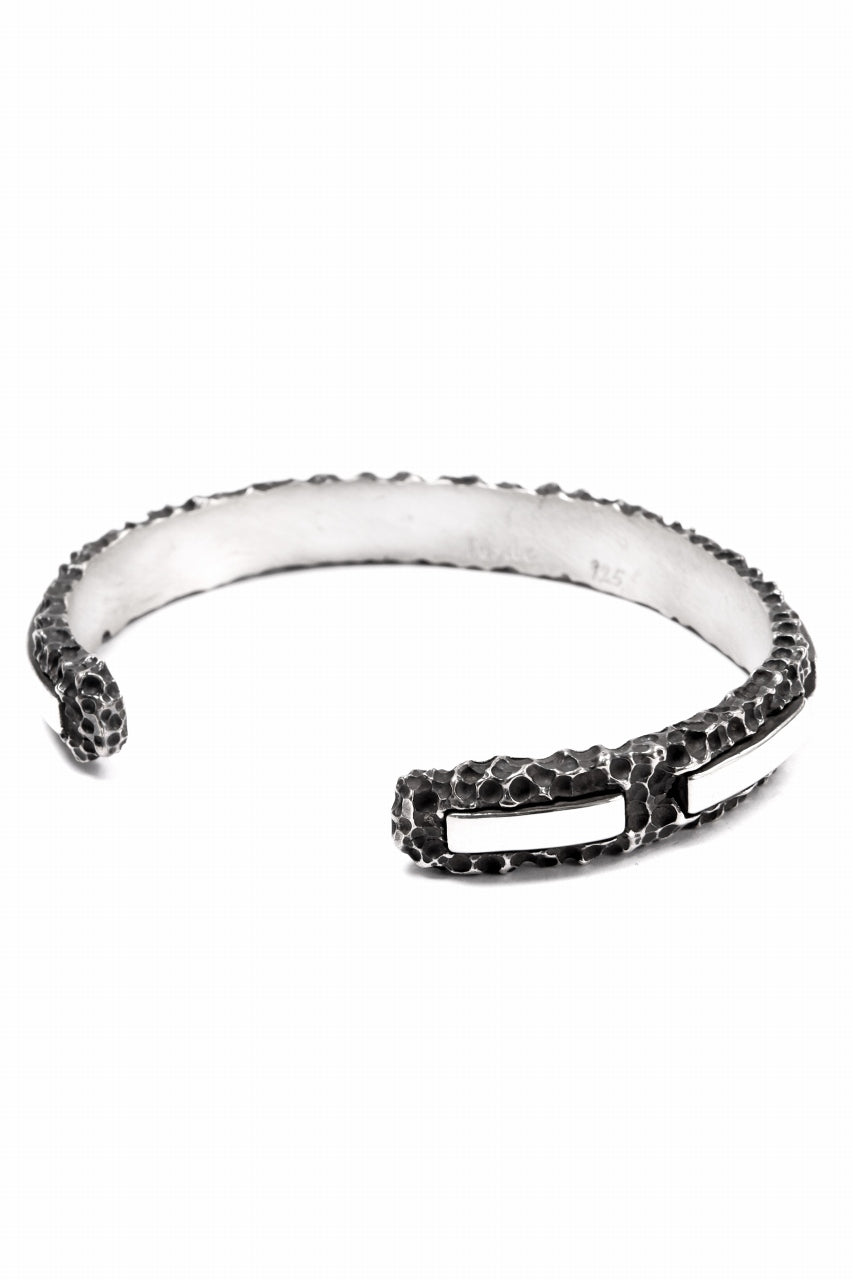 画像をギャラリービューアに読み込む, Node by KUDO SHUJI  BR-11 BANGLE