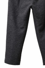 画像をギャラリービューアに読み込む, th products KAPOOR / Wide Tapered Pants / travel wool premiere (gray)