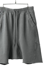 画像をギャラリービューアに読み込む, entire studios HEAVY DROP SHORT PANTS (RHINO)