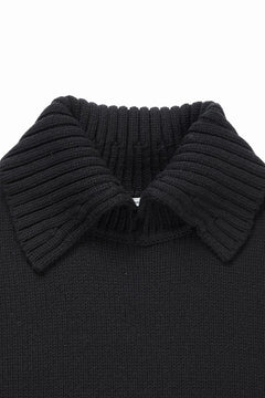 画像をギャラリービューアに読み込む, F/CE. REVERSE PATTERN COLLAR KNIT (BLACK)