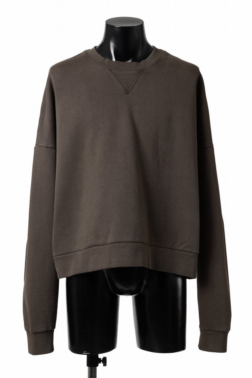 画像をギャラリービューアに読み込む, entire studios BOX CREW SWEAT PULLOVER (BRUNETTE)