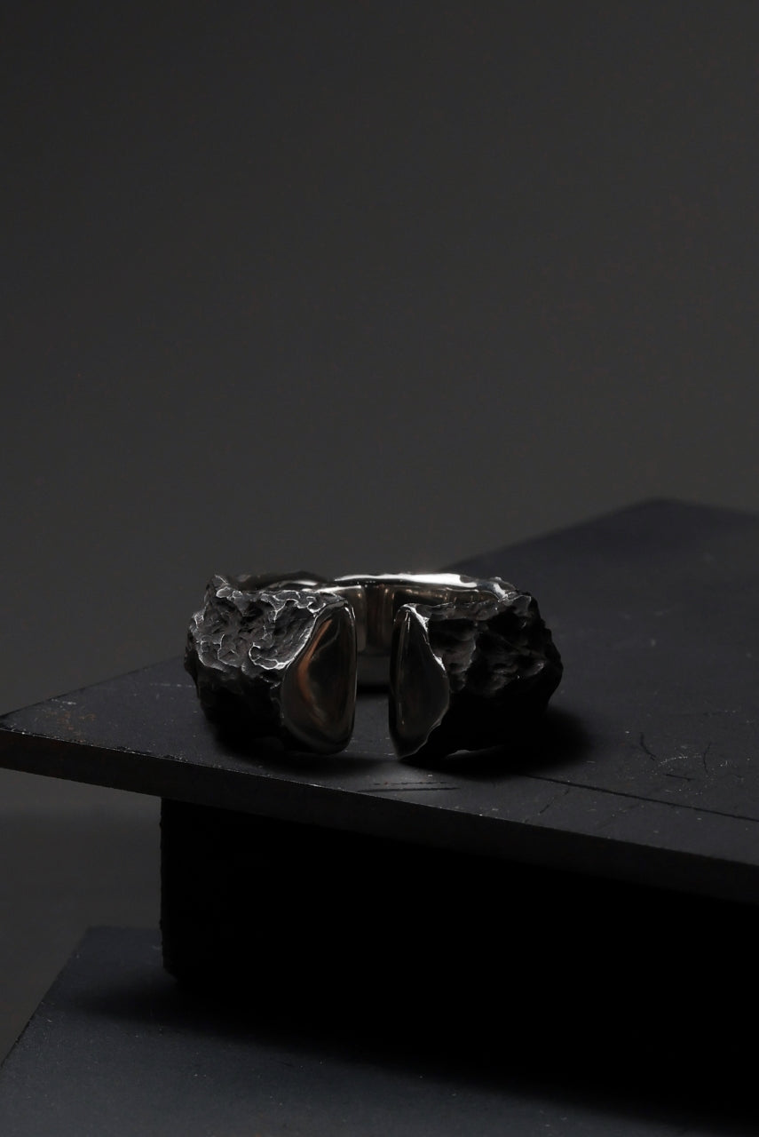 画像をギャラリービューアに読み込む, Node by KUDO SHUJI R-103 RING