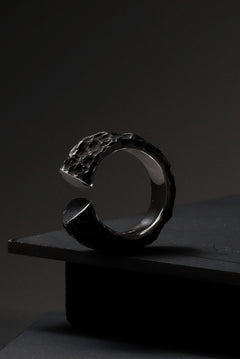画像をギャラリービューアに読み込む, Node by KUDO SHUJI R-103 RING