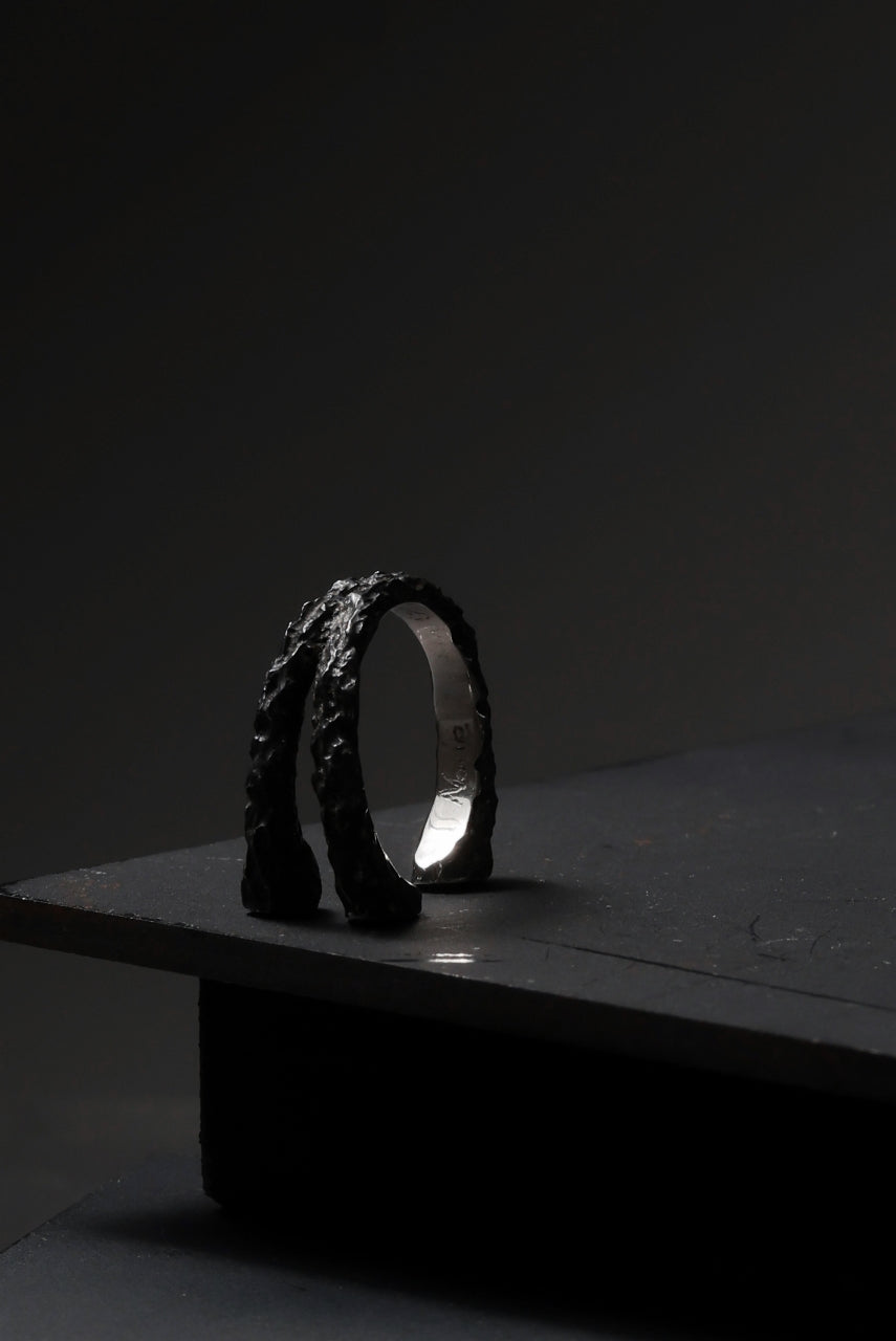 画像をギャラリービューアに読み込む, Node by KUDO SHUJI R-83 RING
