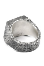 画像をギャラリービューアに読み込む, Node by KUDO SHUJI R-98 RING