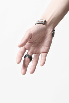 画像をギャラリービューアに読み込む, Node by KUDO SHUJI R-79 RING