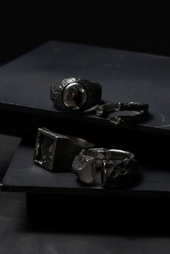 画像をギャラリービューアに読み込む, Node by KUDO SHUJI R-98 RING