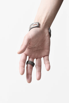 画像をギャラリービューアに読み込む, Node by KUDO SHUJI R-86 RING