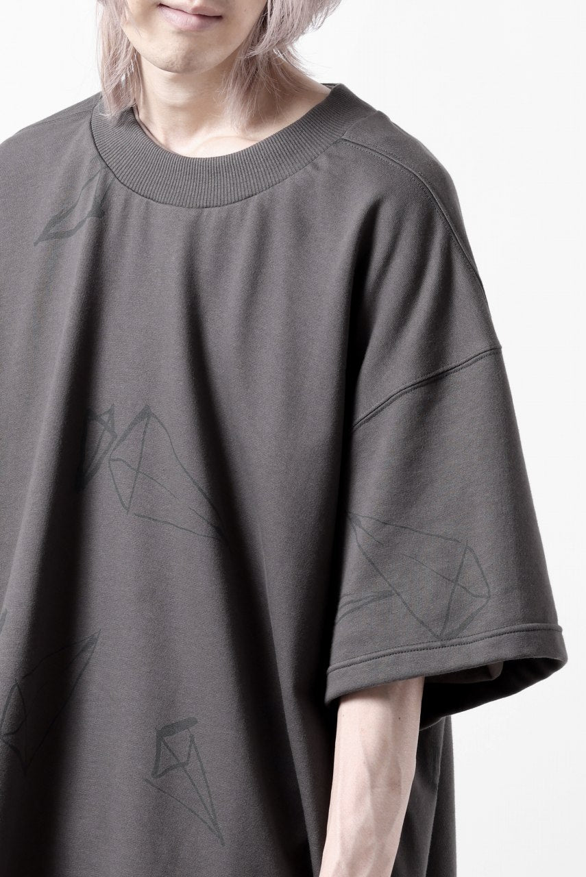 画像をギャラリービューアに読み込む, A.F ARTEFACT PYRA PATTERN PRINT CREW NECK SHORT SLEEVE TOPS (GREY)